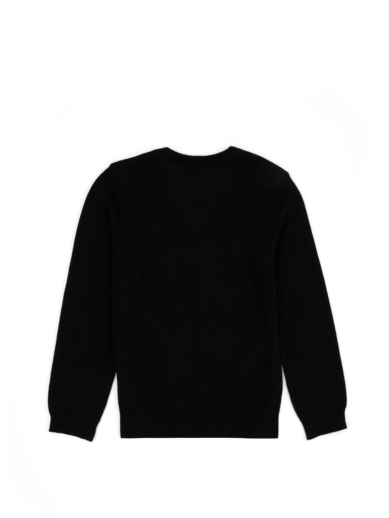 Джемпер US Polo модель G083SZ0TK.000.1726142.VR046 Фото