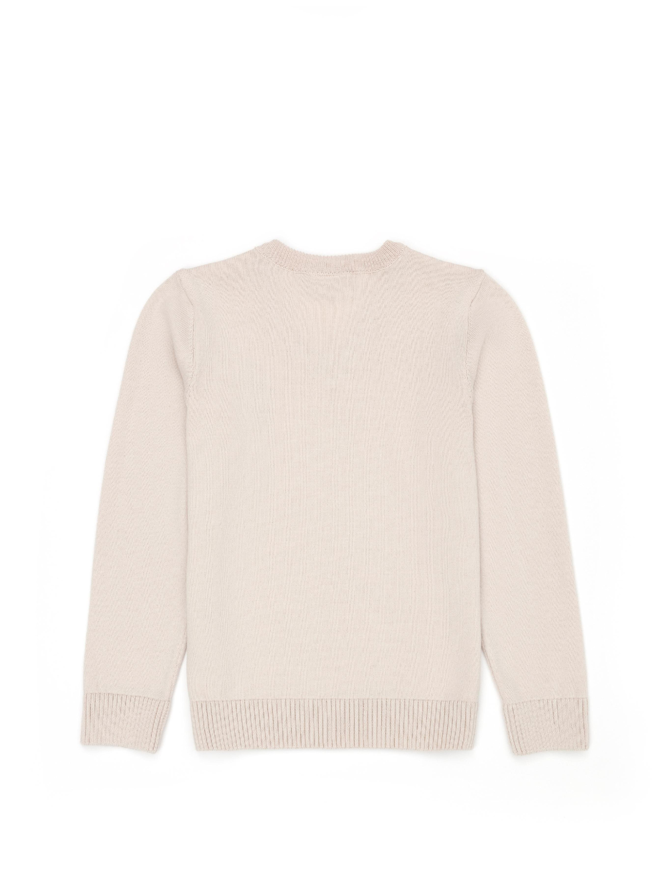 Кофта US Polo модель G084SZ0TK.000.1726148.VR071 Фото