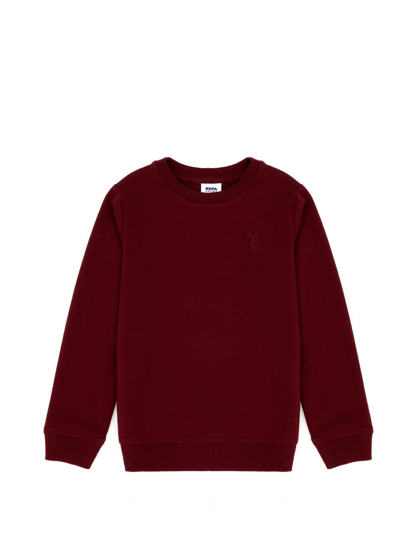 Свитшот US Polo модель G083SZ082.000.1729145.VR014 Фото