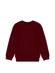 Свитшот US Polo модель G083SZ082.000.1729145.VR014 Фото