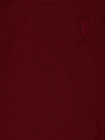 Свитшот US Polo модель G083SZ082.000.1729145.VR014 Фото