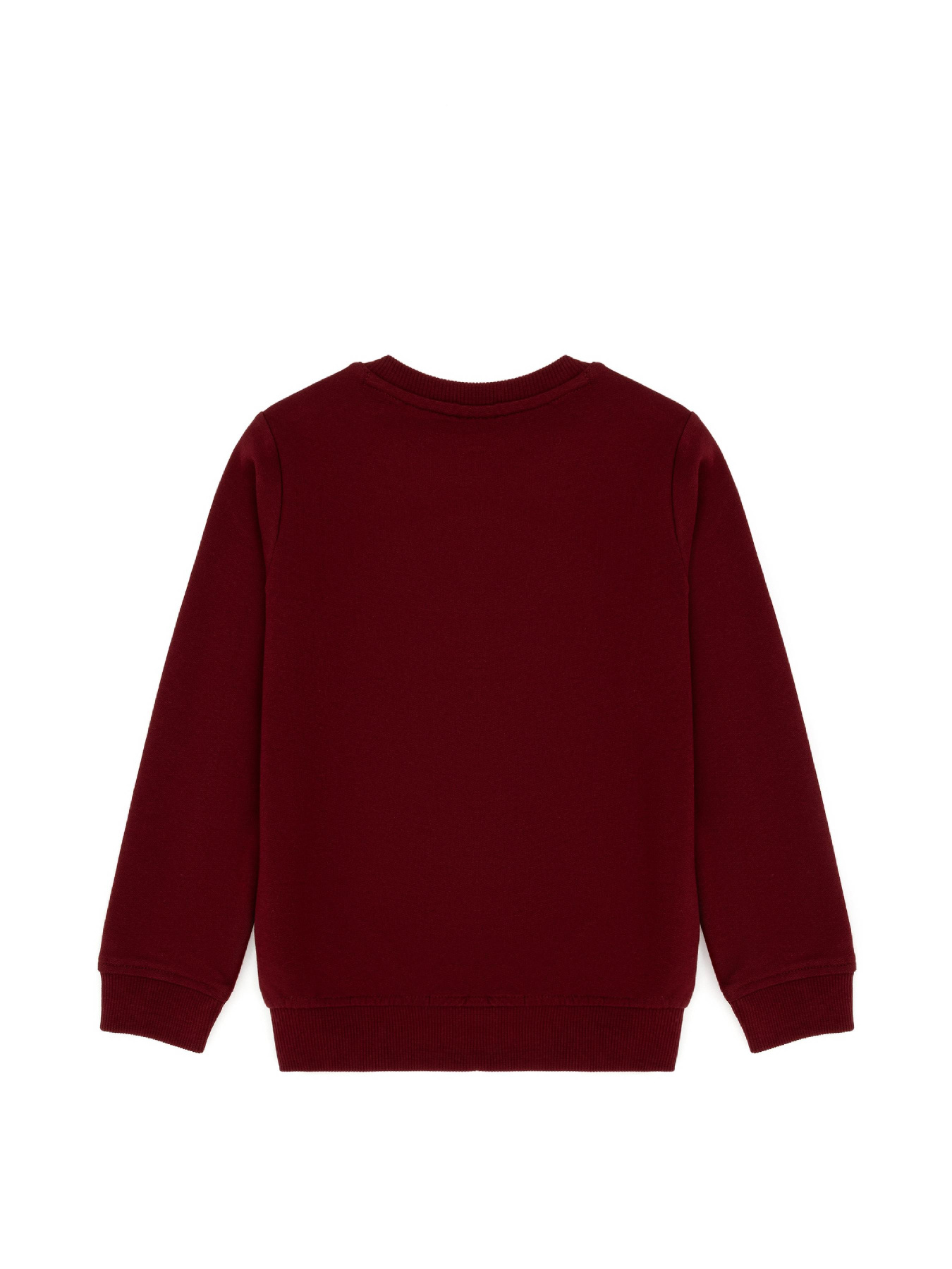 Свитшот US Polo модель G083SZ082.000.1729145.VR014 Фото