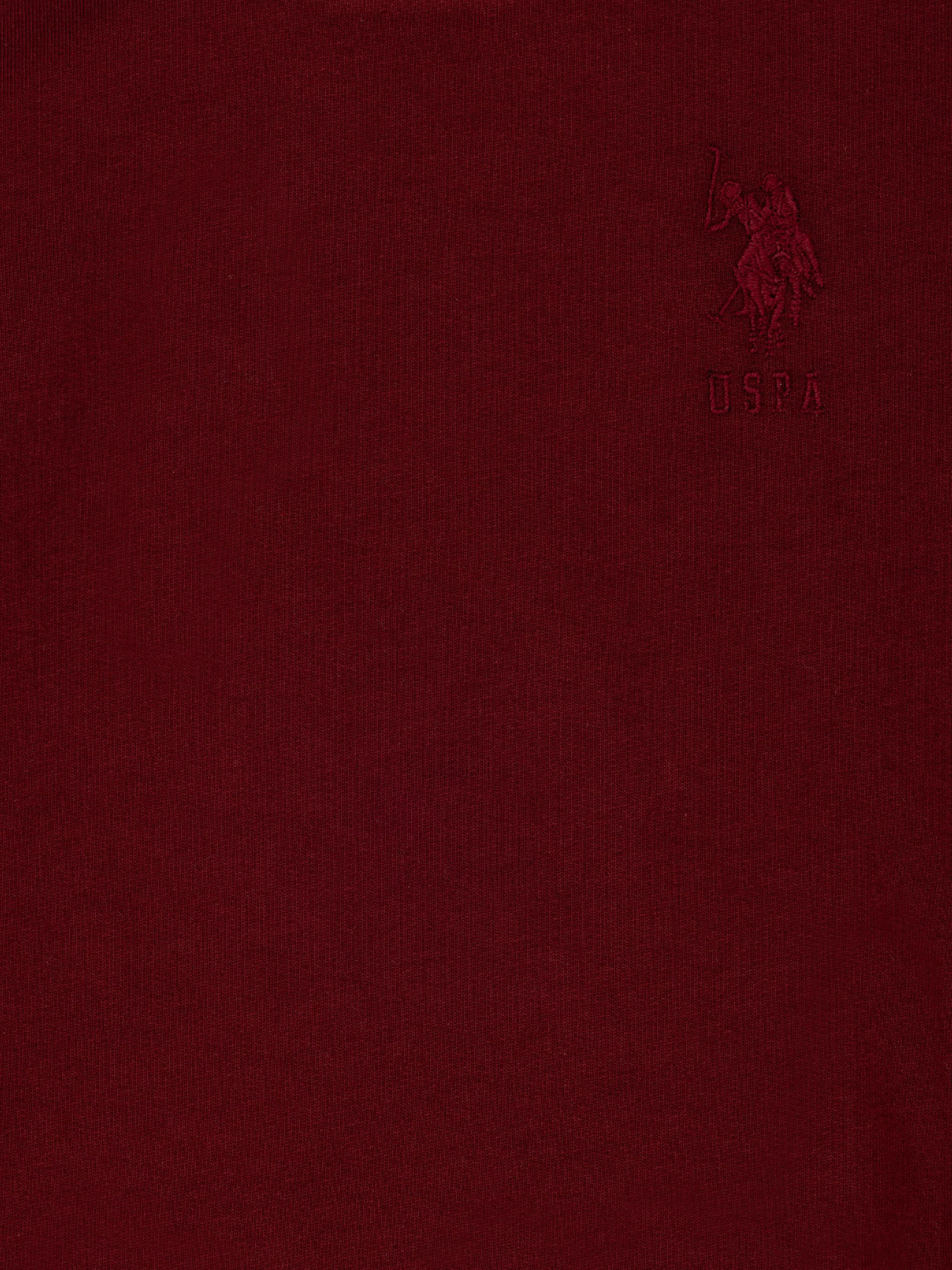 Свитшот US Polo модель G083SZ082.000.1729145.VR014 Фото