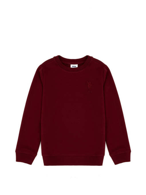 Свитшот US Polo модель G083SZ082.000.1729145.VR014 Фото