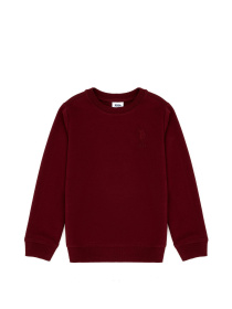 Свитшот US Polo модель G083SZ082.000.1729145.VR014 Фото