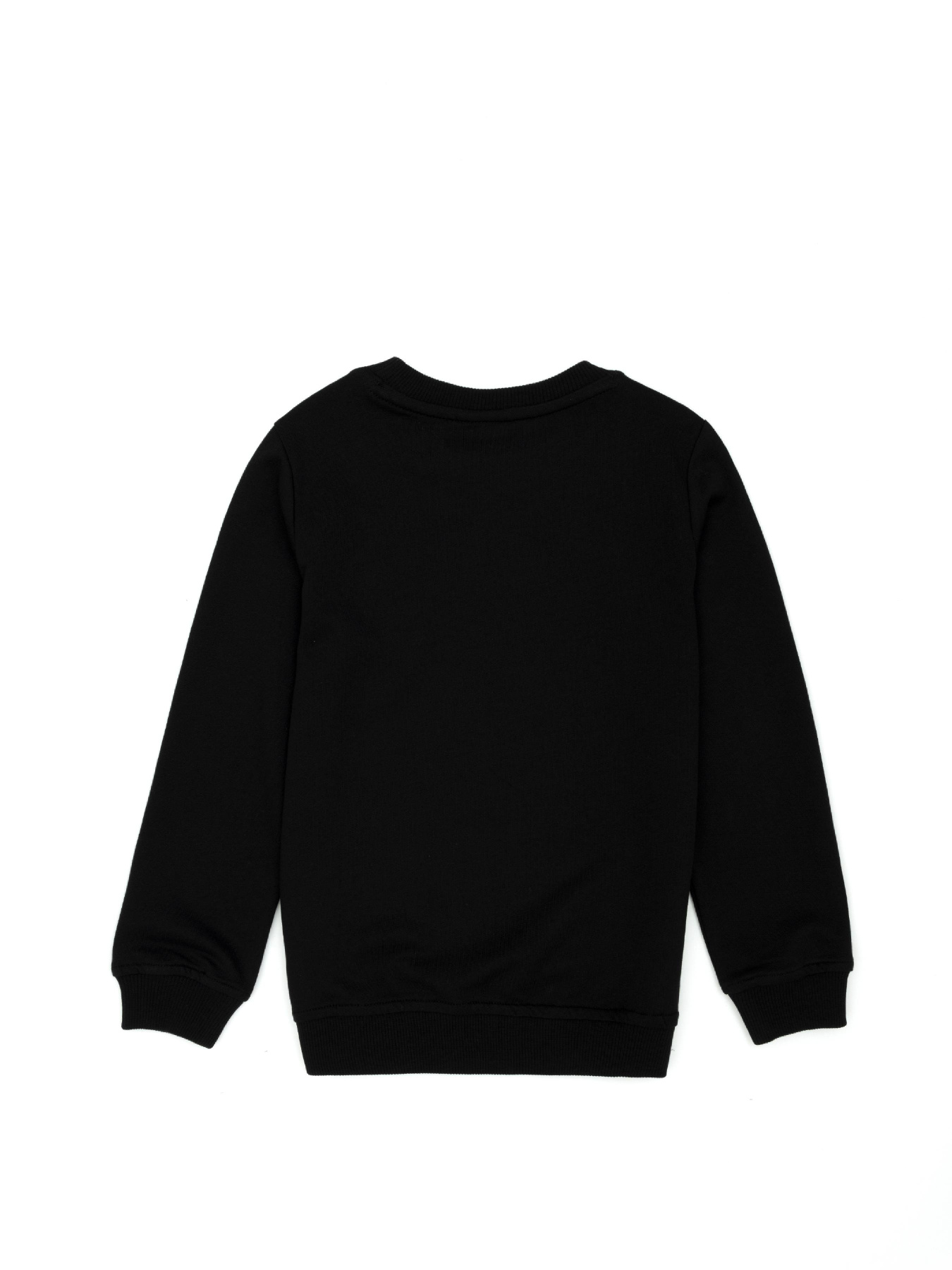 Свитшот US Polo модель G083SZ082.000.1729145.VR046 Фото