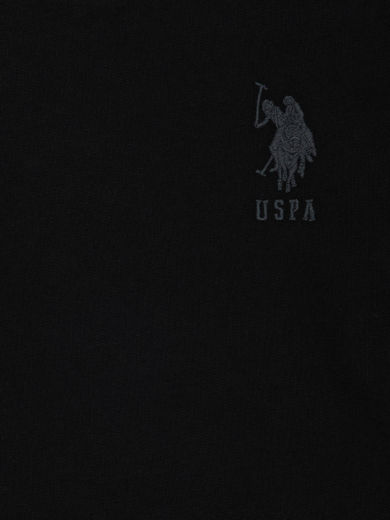 Свитшот US Polo модель G083SZ082.000.1729145.VR046 Фото