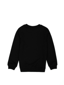 Свитшот US Polo модель G083SZ082.000.1729145.VR046 Фото