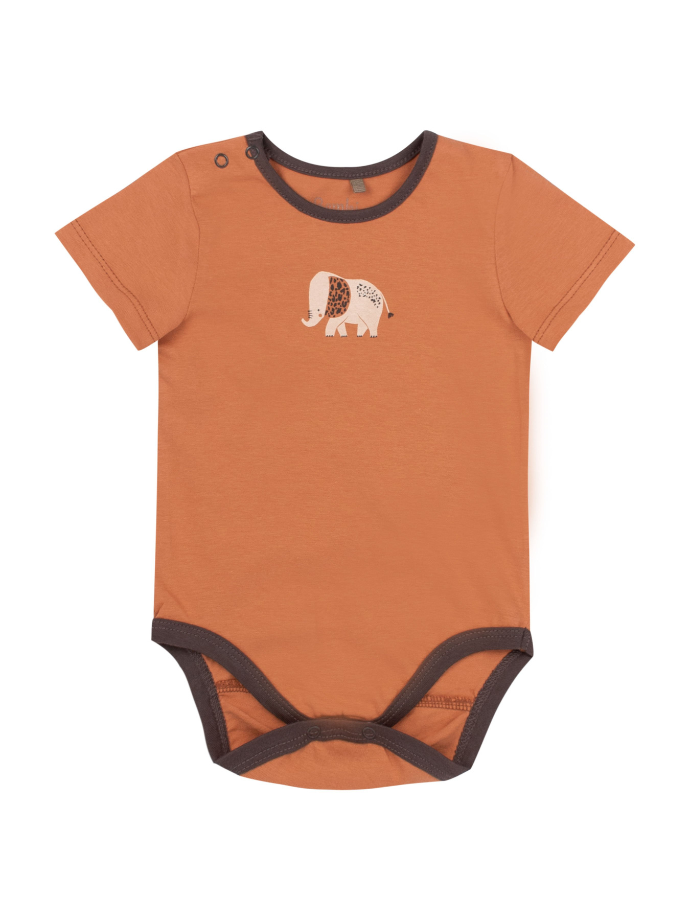 Боді для немовлят Bembi модель 12163110.H00 Фото