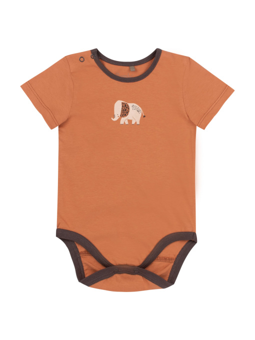 Боді для немовлят Bembi модель 12163110.H00 Фото