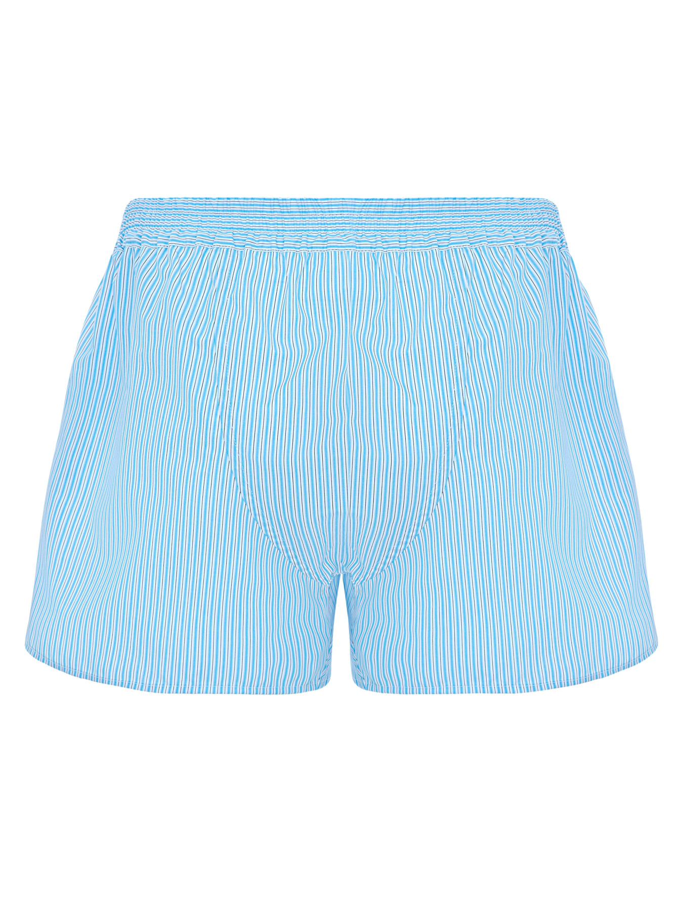 Трусы German Volf модель 2315 Фото