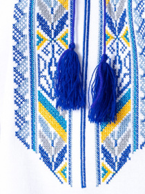 Вышитая рубашка Носи своє модель 8605-038-22-zhovto-blakitnij Фото