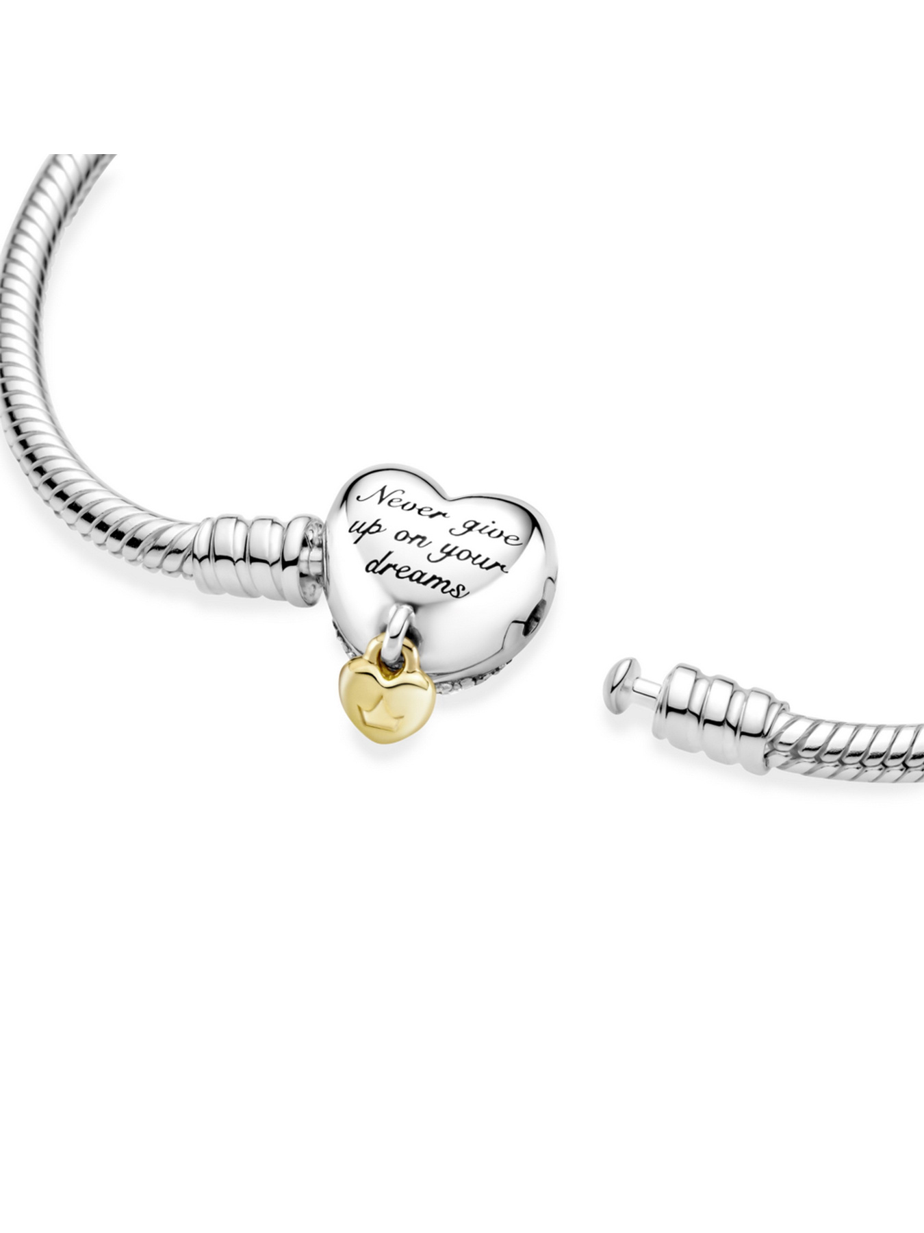 Для шармів PANDORA Moments Модель 569563C01 Фото