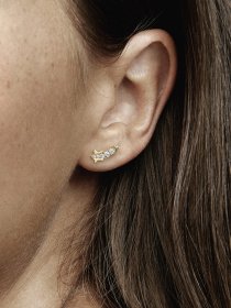 Підвіси PANDORA модель 262375C01 Підвіси PANDORA модель 262375C01 Фото