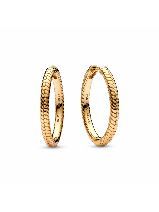 Серьги-кольца PANDORA Moments модель 269532C00 Фото