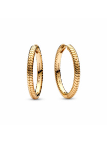 Хупи PANDORA Moments модель 269532C00 Фото