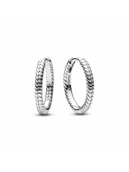 Серьги-кольца PANDORA Moments модель 292728C00 Фото