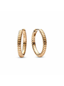 Хупи PANDORA Moments модель 262728C00 Фото