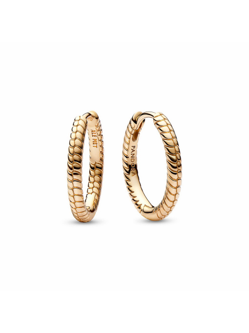 Серьги-кольца PANDORA Moments модель 262728C00 Фото