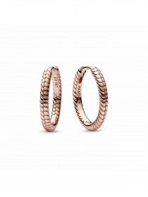 Підвіси PANDORA Moments модель 282728C00 Фото