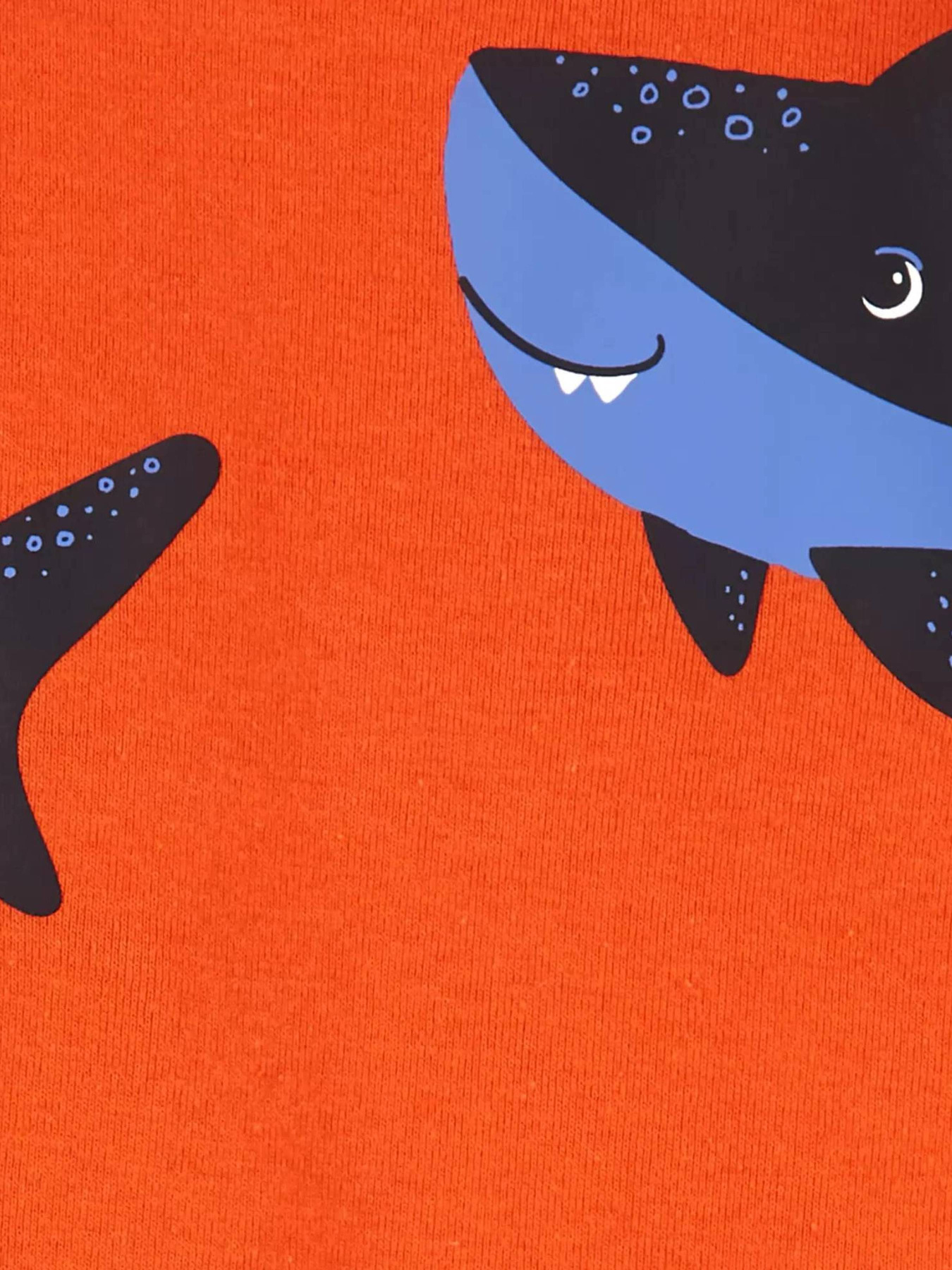 Комплект для немовлят Carter’s модель 1O999010 Фото