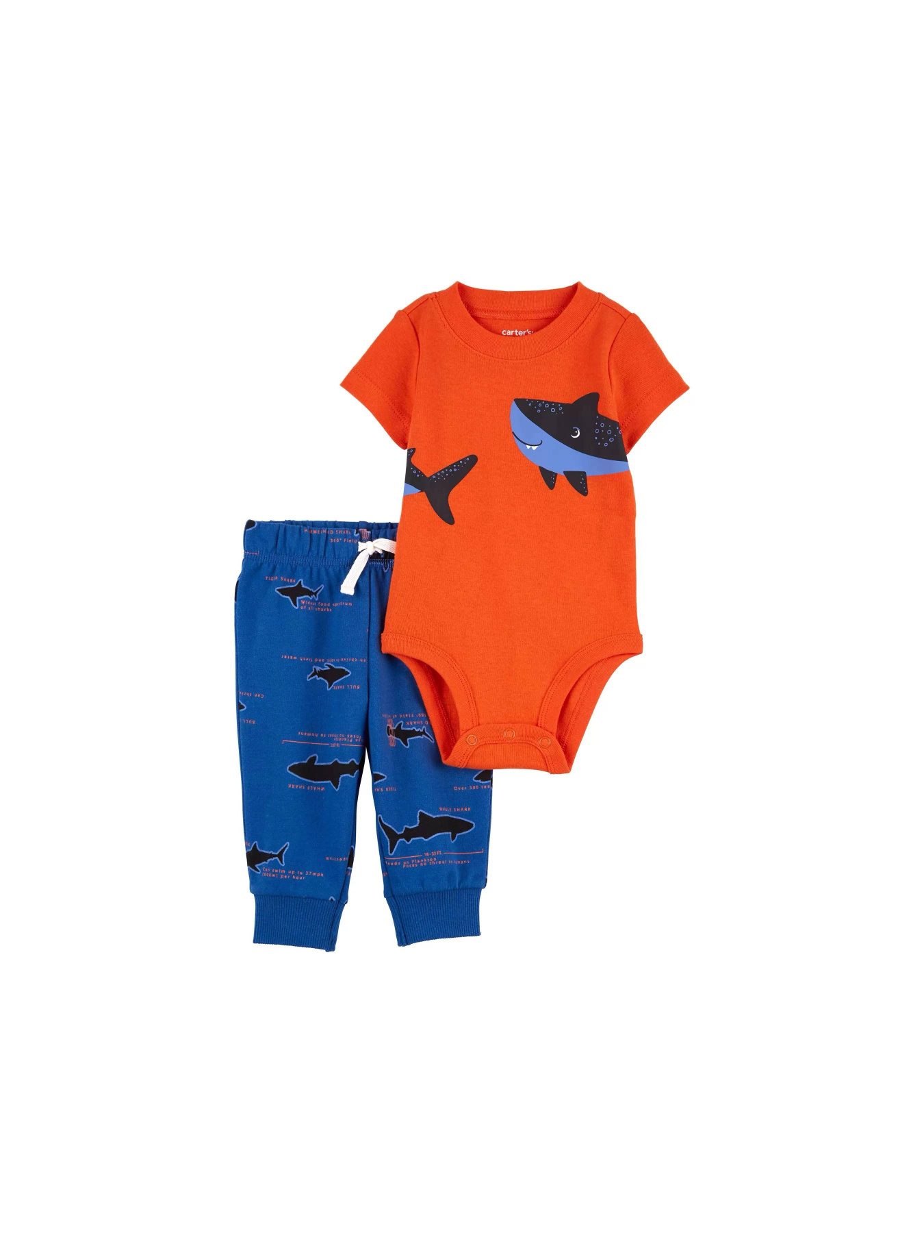 Комплект для немовлят Carter’s модель 1O999010 Фото