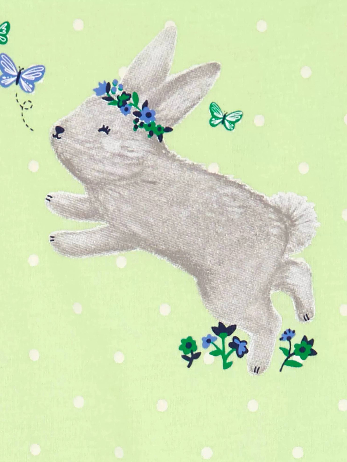 Комплект для младенцев Carter’s модель 1P004010 Фото