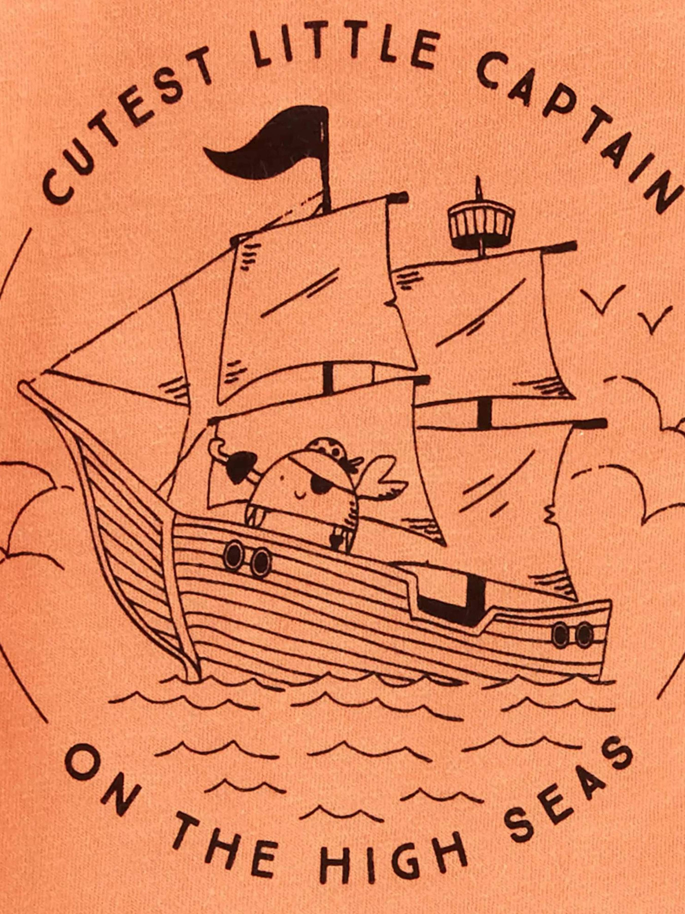 Комплект для младенцев Carter’s модель 1O955310 Фото