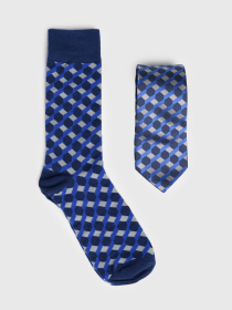 Шкарпетки Arber Набір краватка, шкарпетки модель M11.14.03.411 Фото