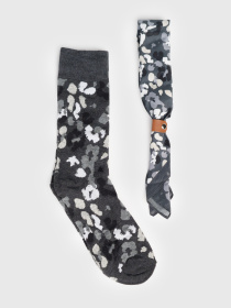 Шкарпетки Arber Набір краватка, шкарпетки модель M11.17.12.411 Фото