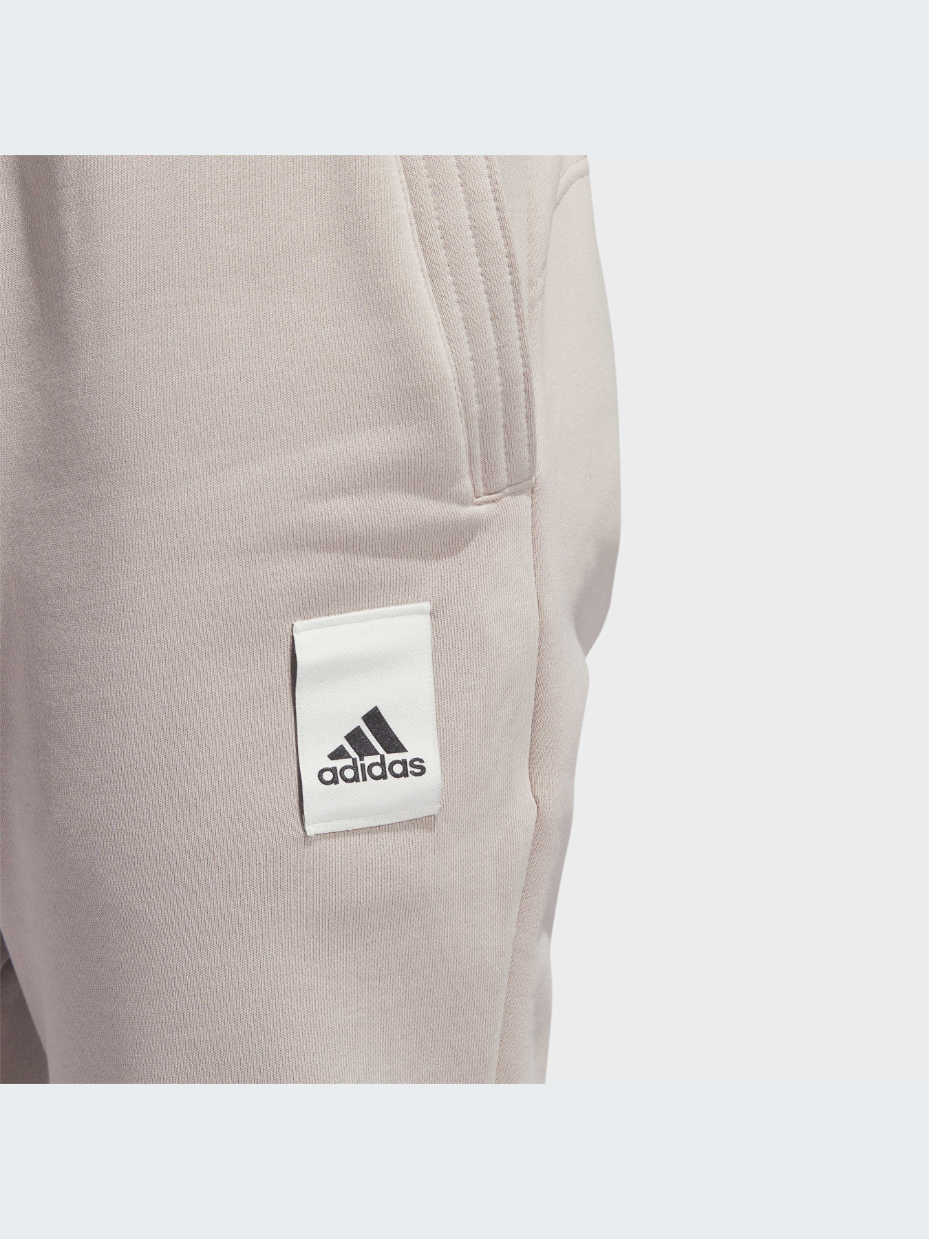 Джогери Adidas модель IA9371 Фото