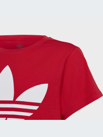 Футболка Adidas Adicolor модель IB9929 Фото