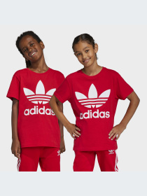 Футболка Adidas Adicolor модель IB9929 Фото