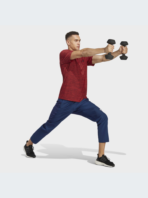 Штаны спортивные Adidas модель IC7282 Фото