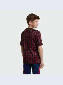 Футболка спортивная Adidas модель IT1992 Фото