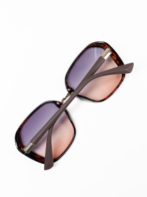 Окуляри ISSA Plus модель O1-134_коричневый Окуляри ISSA Plus модель O1-134_коричневый Фото