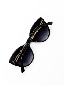 Окуляри ISSA Plus модель O1-149_черный Фото