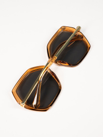 Окуляри ISSA Plus модель O1-176_коричневый Фото