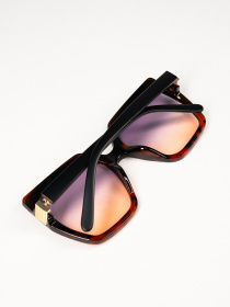 Очки ISSA Plus модель O1-178_коричневый Очки ISSA Plus модель O1-178_коричневый Фото