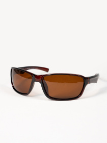 Очки ISSA Plus модель O1-193_коричневый Фото