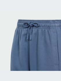 Джогери Adidas Культові силуети модель IS4395 Фото