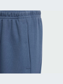 Джогери Adidas Культові силуети модель IS4395 Фото