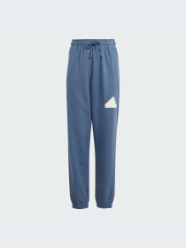 Джоггеры Adidas Культовые силуэты модель IS4395 Фото