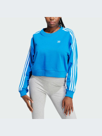 Свитшот Adidas Adicolor модель IR5523 Фото