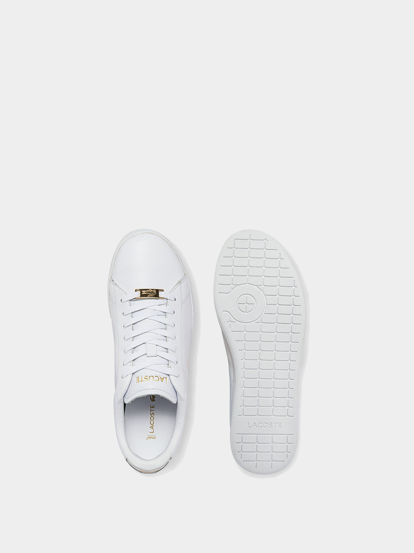 Кеды низкие Lacoste Carnaby модель 743SFA0016216 Фото