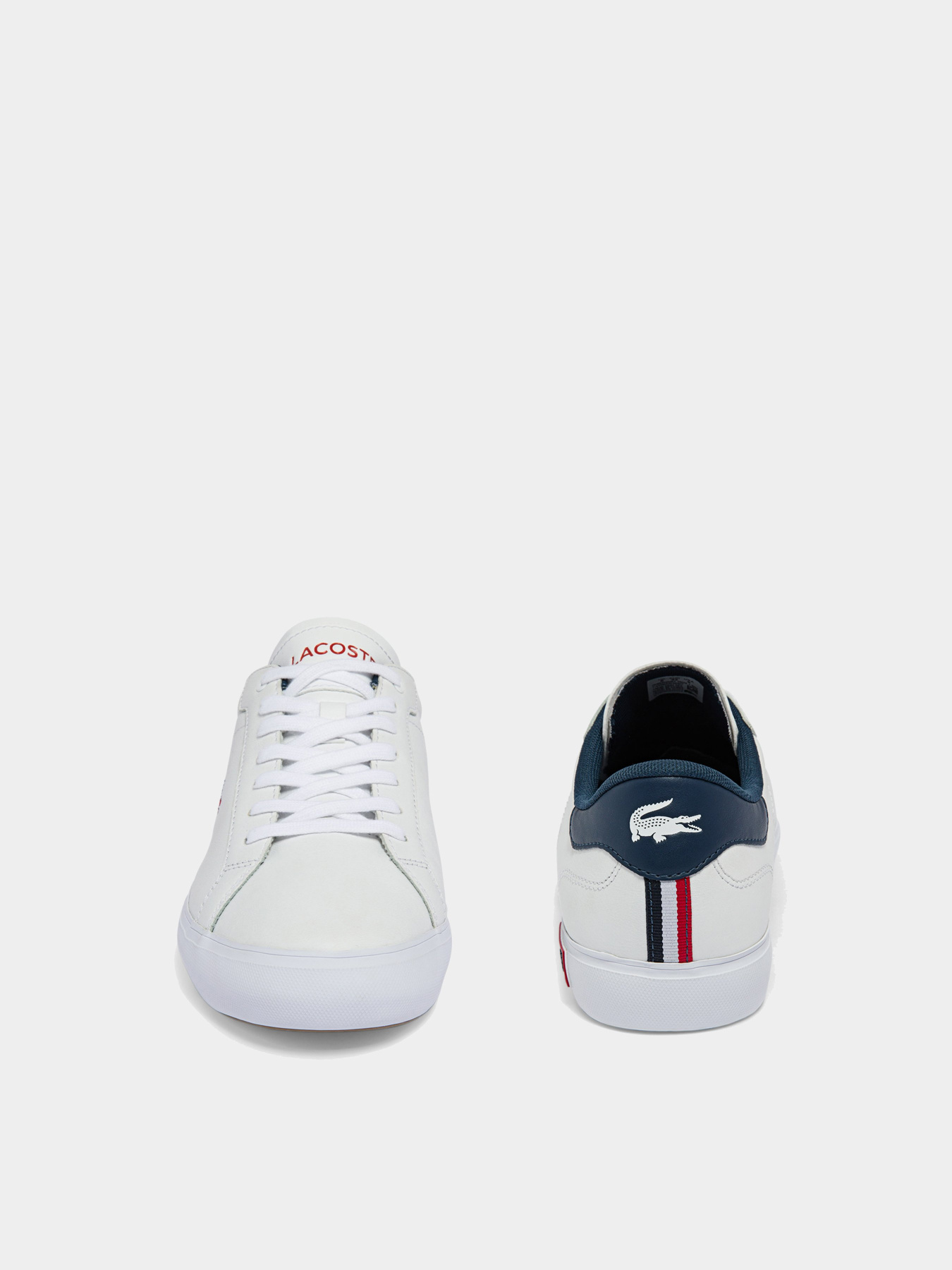 Кеди низькі Lacoste Powercourt модель 743SMA0034407 Фото