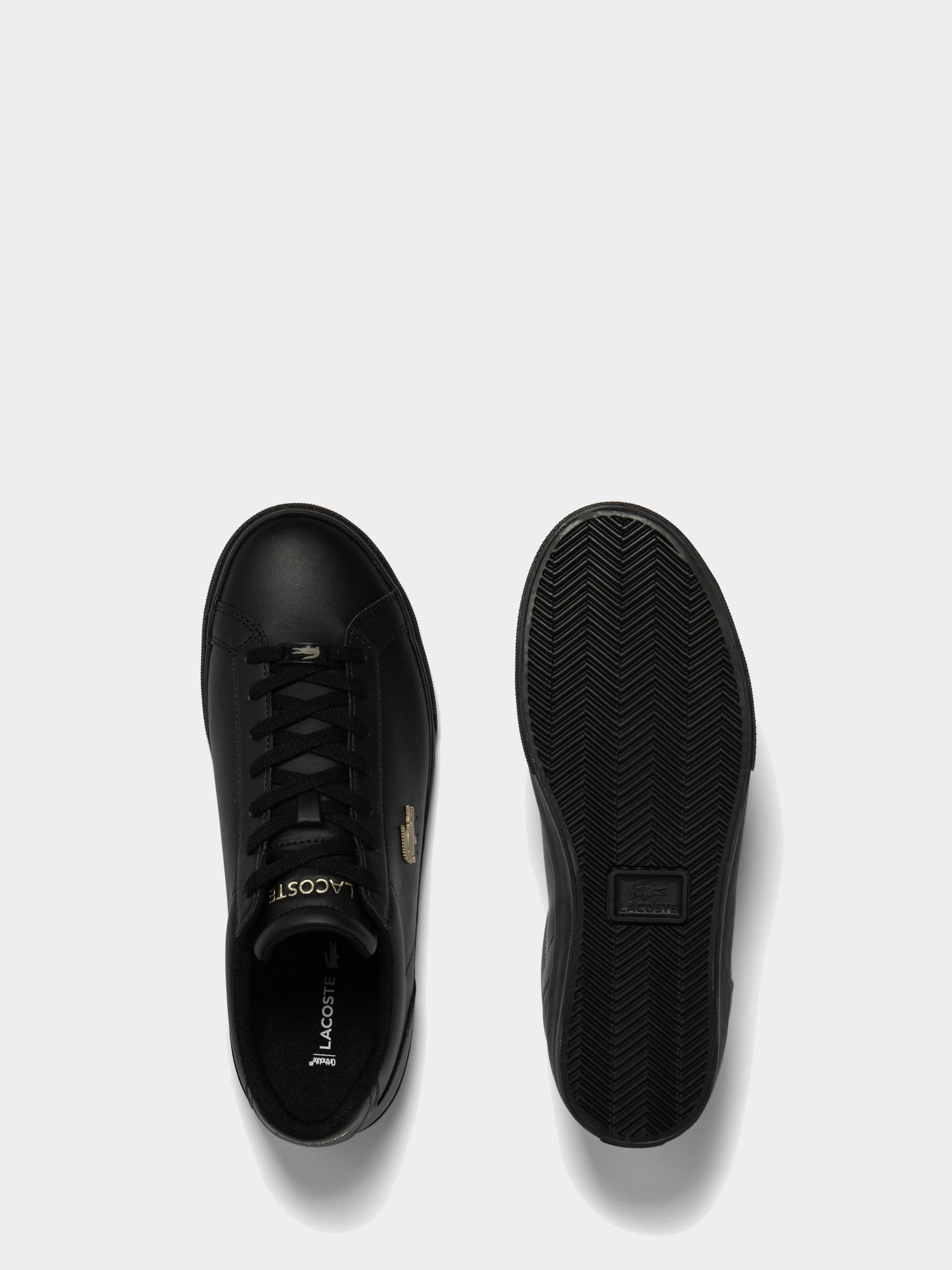 Кеди низькі Lacoste Lerond модель 745CMA005202H Фото