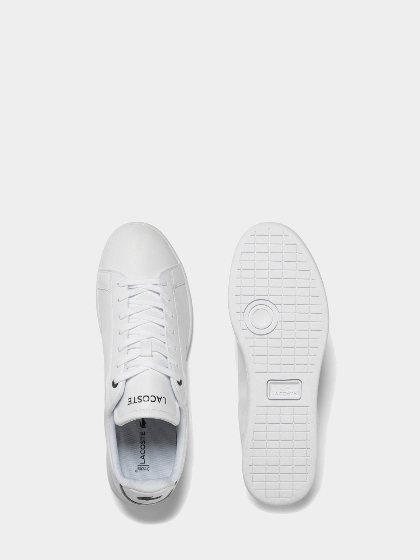 Кеды низкие Lacoste Carnaby Pro BL модель 745SMA0110042 Фото