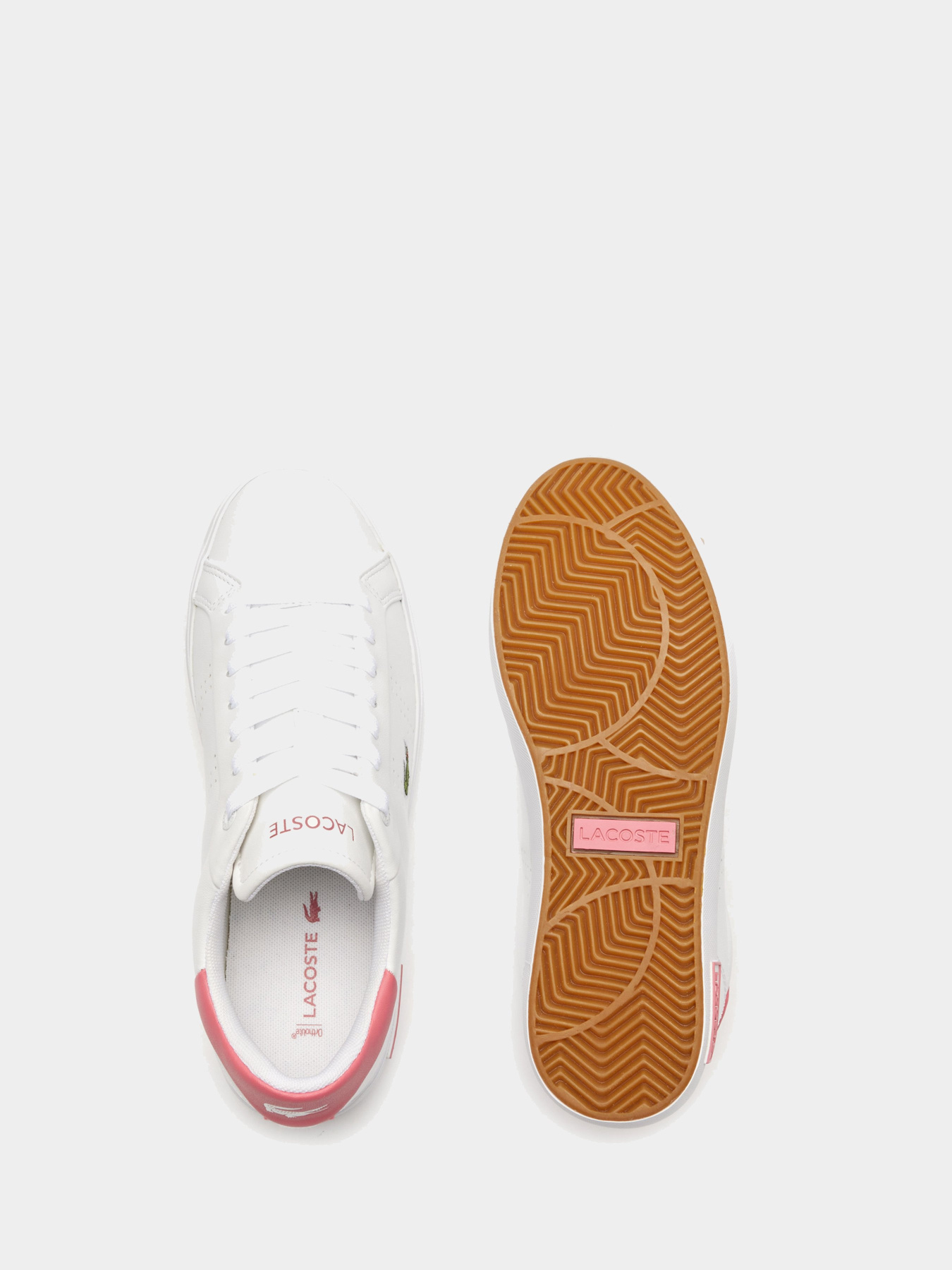 Кеди низькі Lacoste Powercourt 2.0 модель 747SFA0073B53 Фото