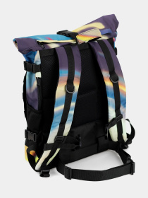 Повсякденний рюкзак HARVEST модель 040028000000000097 Фото